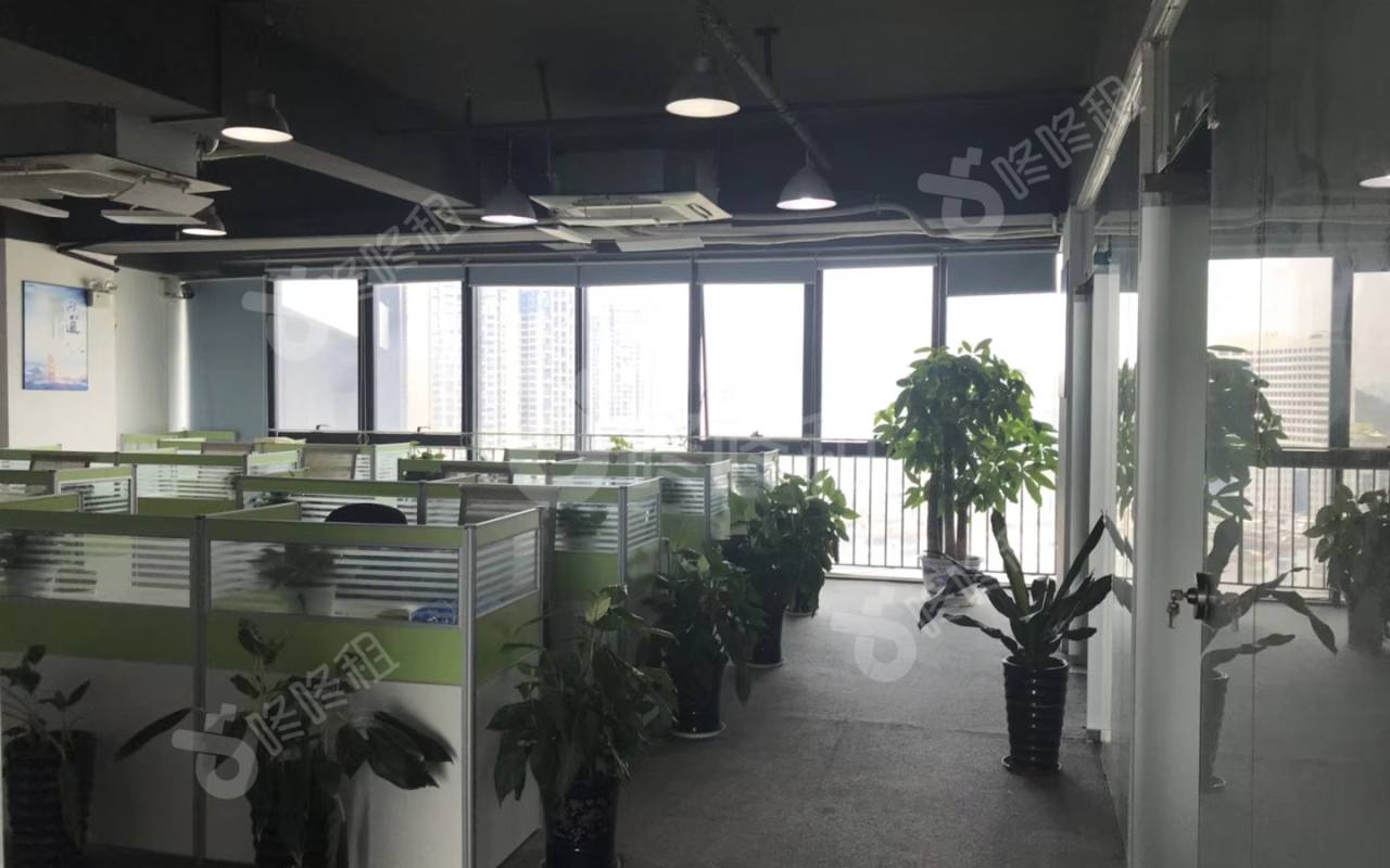 横岗大厦_280平_精装_未分类