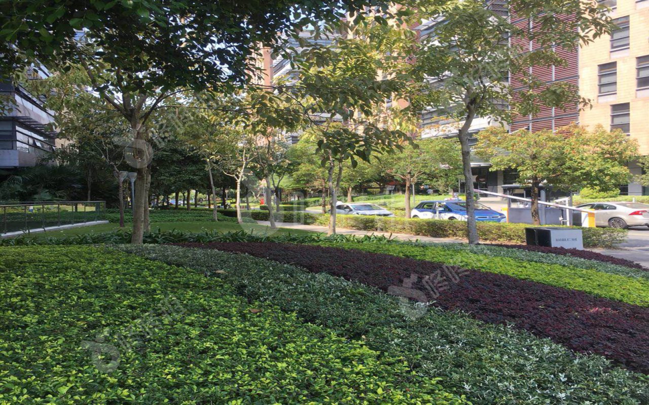 TCL国际E城_楼盘外观图