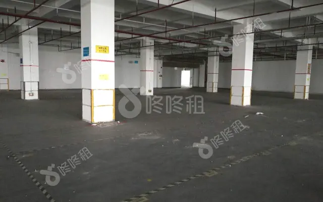 289数字半岛_487平_简装_办公室房源出租