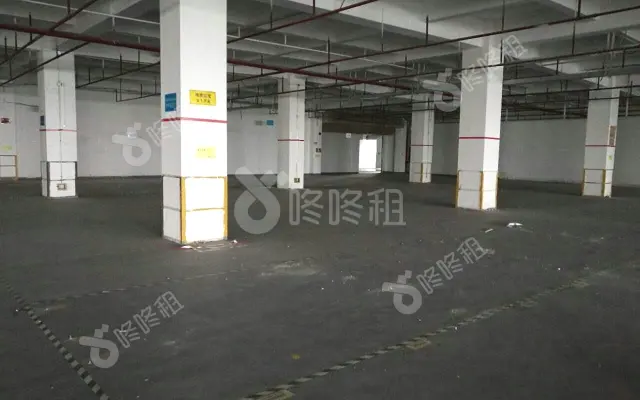 289数字半岛_517平_简装_办公室房源出租