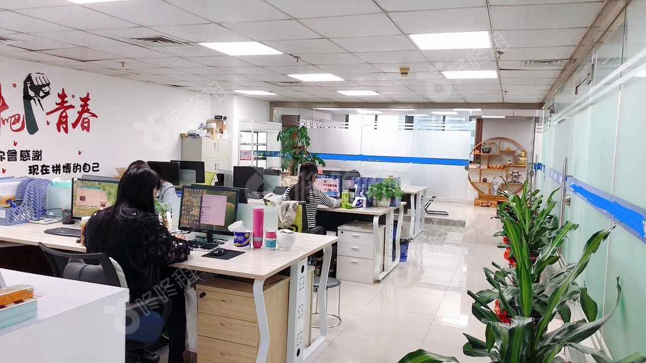 深圳电子科技大厦_256平_精装_未分类