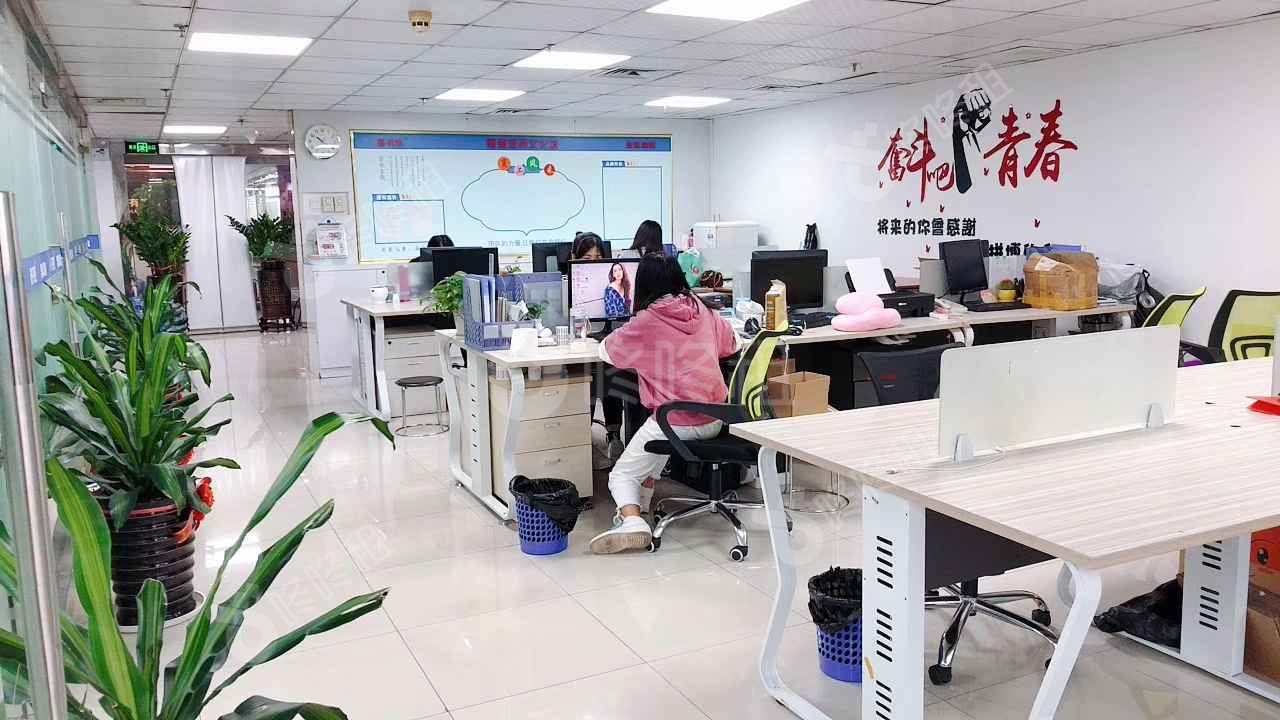 深圳电子科技大厦_256平_精装_未分类