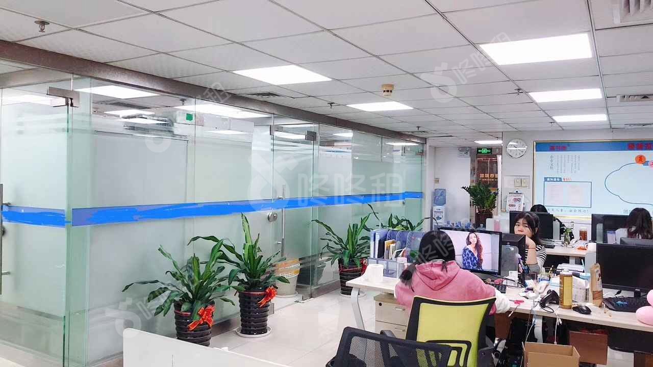 深圳电子科技大厦_256平_精装_未分类