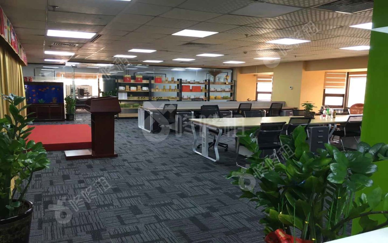 国贸大厦_480平_精装_未分类