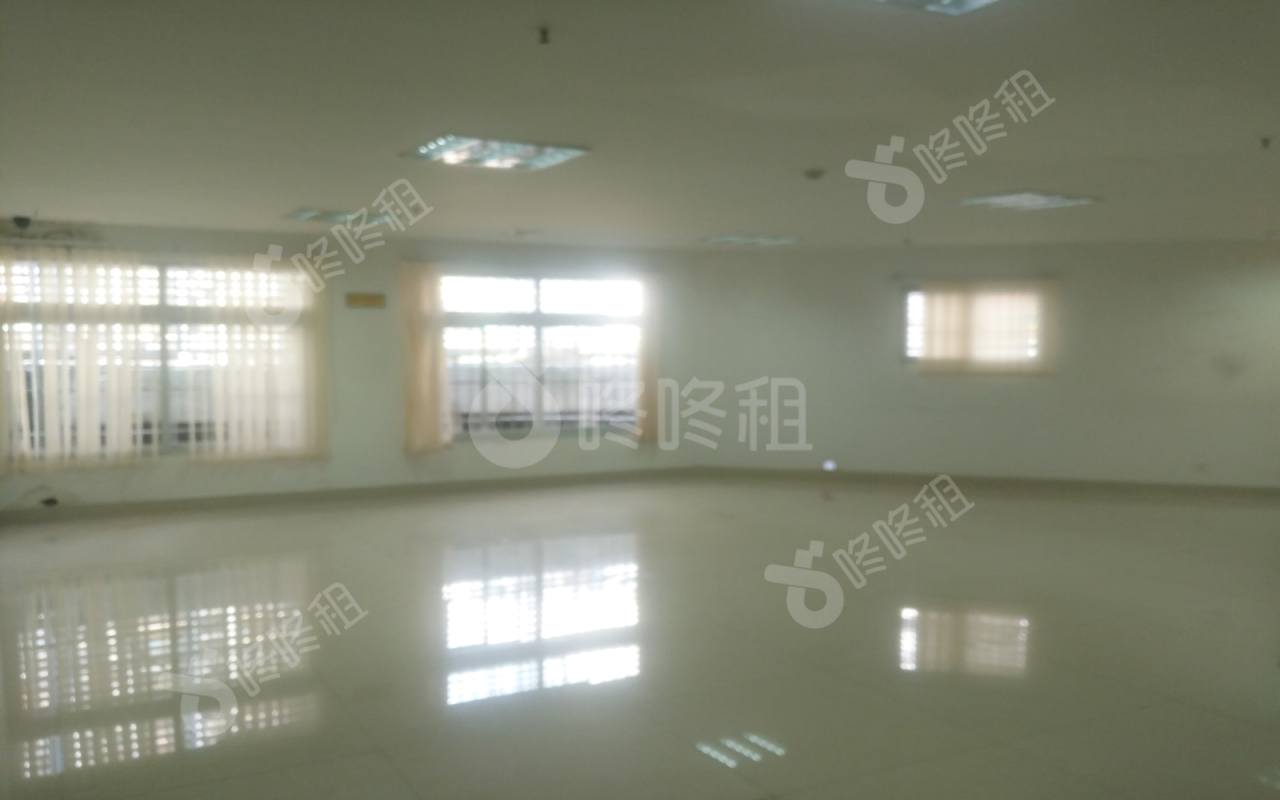 中建大厦_436平_精装_未分类