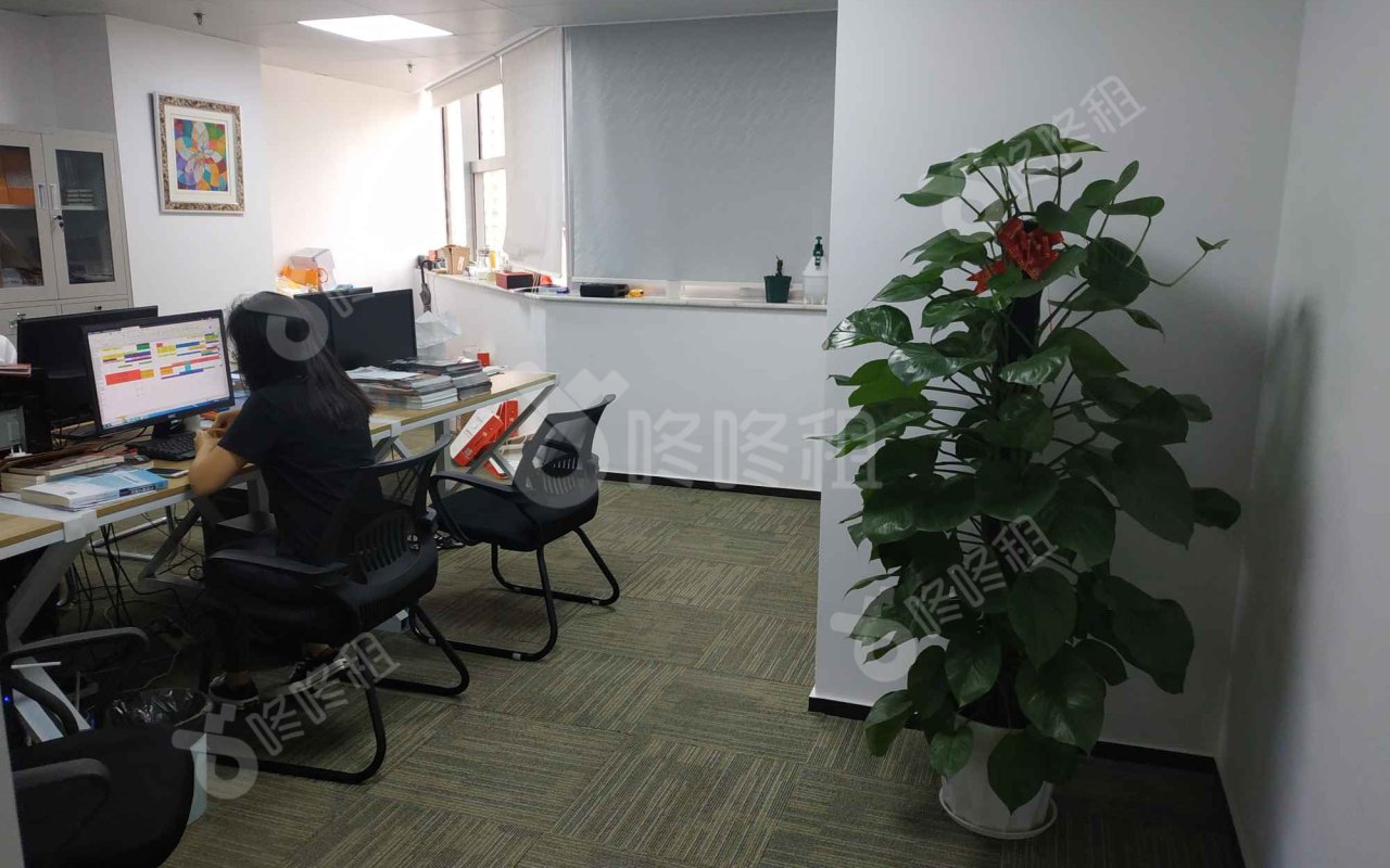 金山大厦_450平_简装_未分类