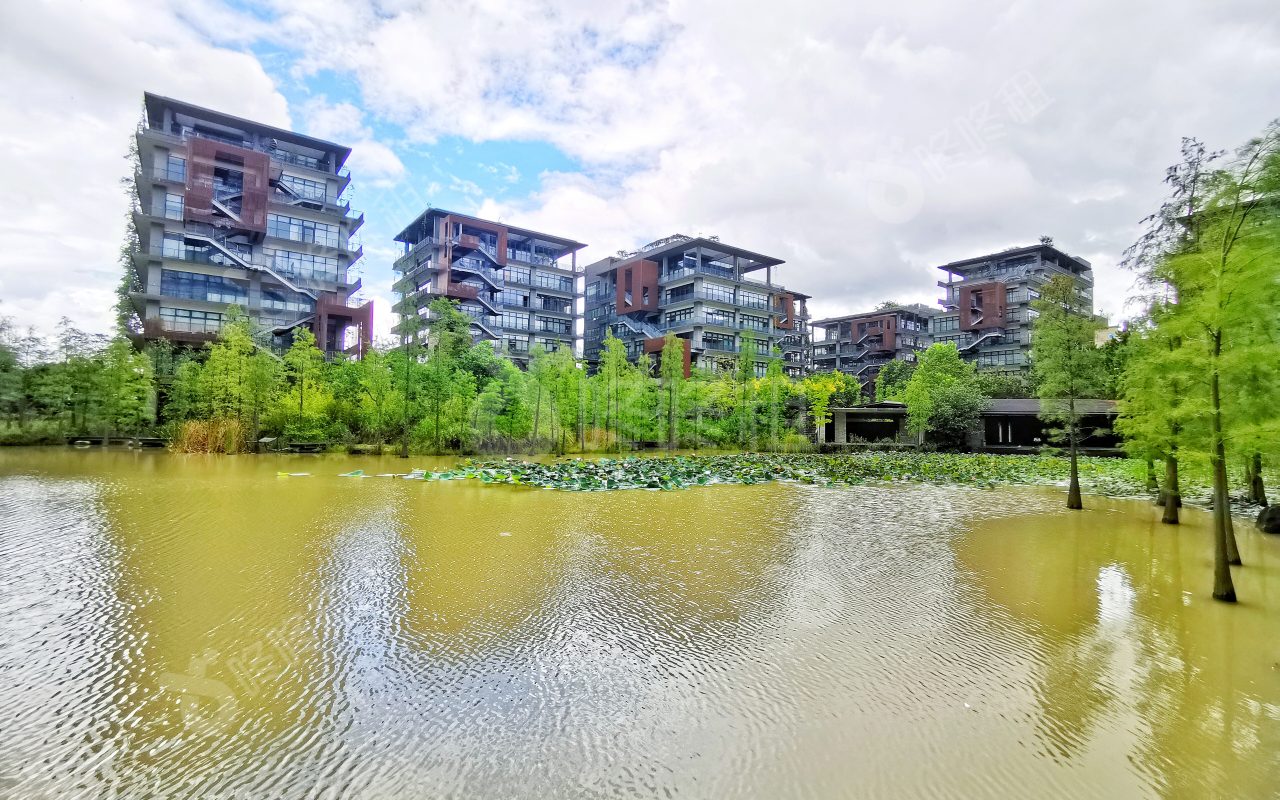 梧桐岛_楼盘外观图