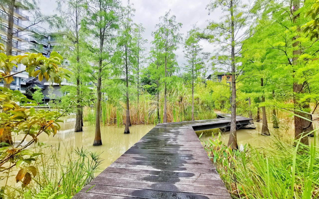 梧桐岛_楼盘外观图