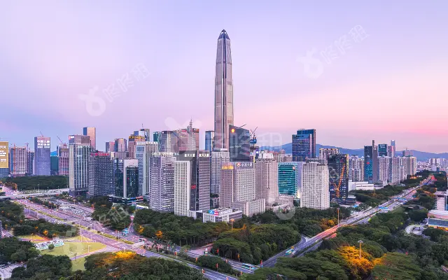 平安国际金融中心_出租/租金_楼盘外观图