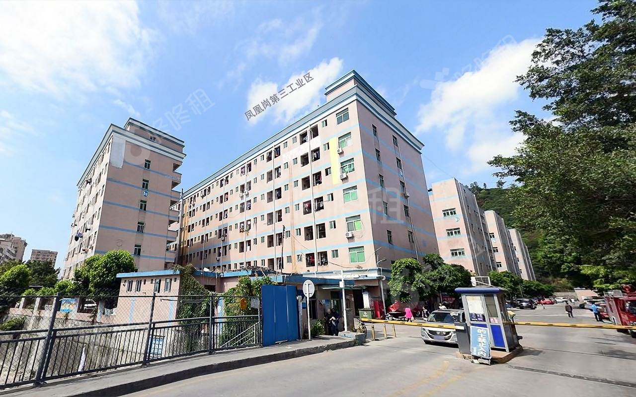 凤凰岗第三工业区楼盘实景图