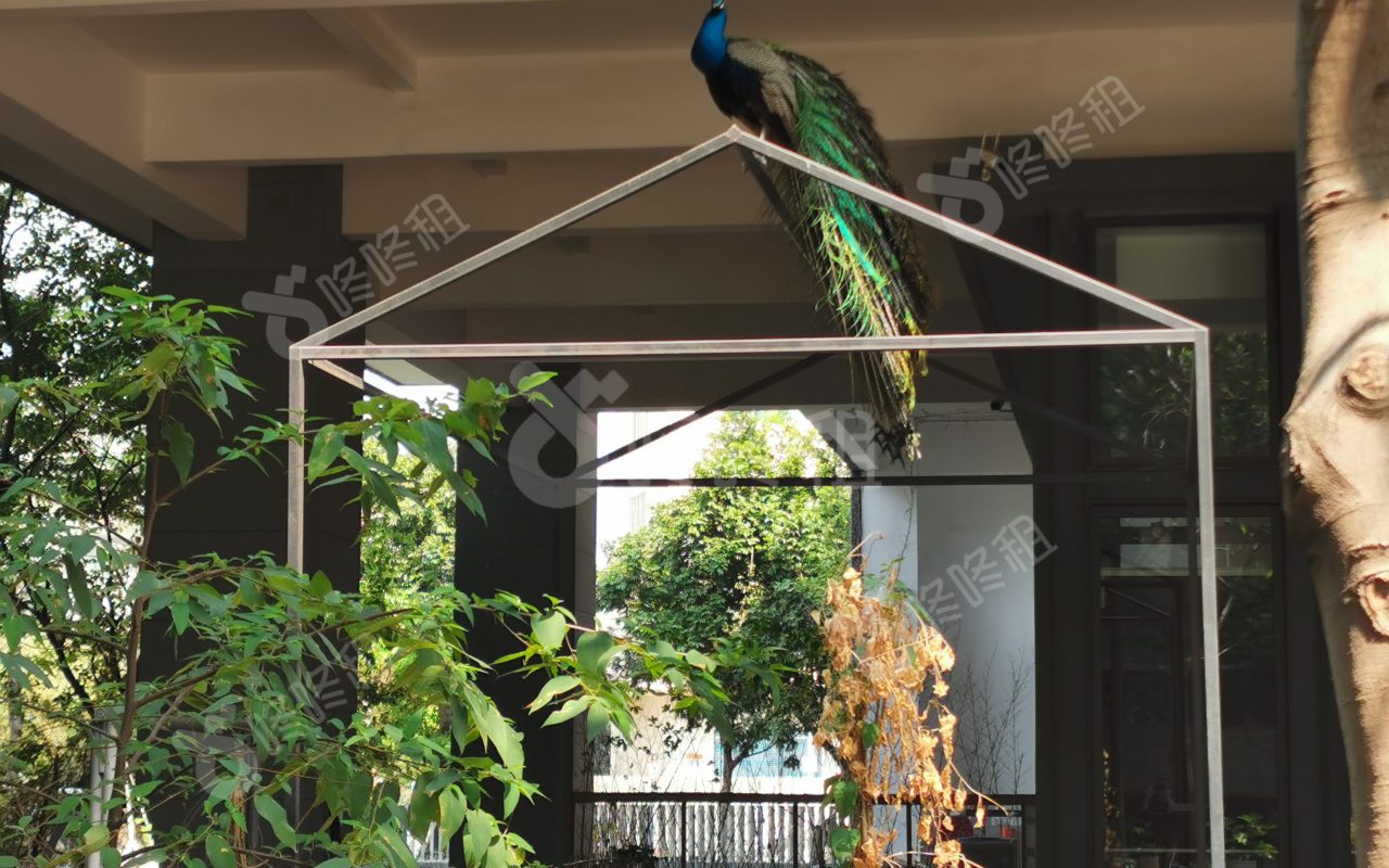 梧桐岛_楼盘外观图