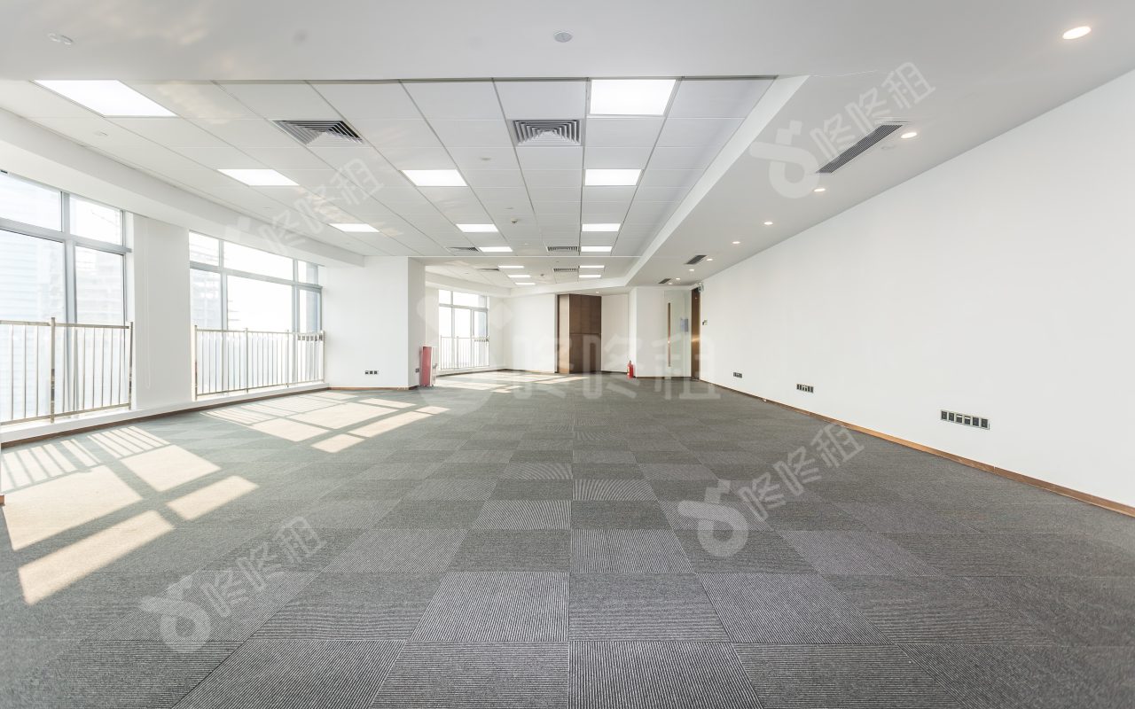 寰城中心广场_1000平_简装_未分类