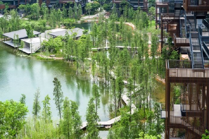 梧桐岛_楼盘外观图