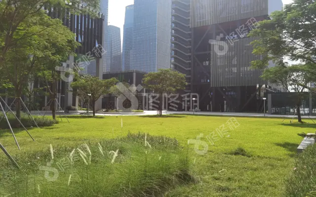 粤港澳青年创业区_出租/租金_楼盘外观图
