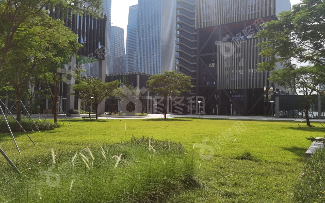 粤港澳青年创业区_楼盘外观图