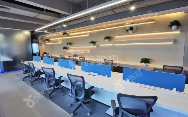 智汇港湾(长富金茂大厦CFC)_固定工位_办公室图片