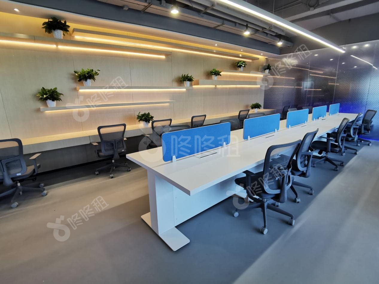 智汇港湾(长富金茂大厦CFC)_固定工位_未分类