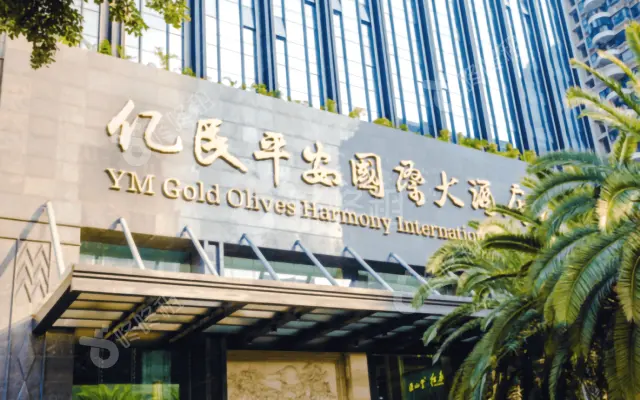 橄榄大厦(亿民平安国际大酒店)_出租/租金_楼盘外观图