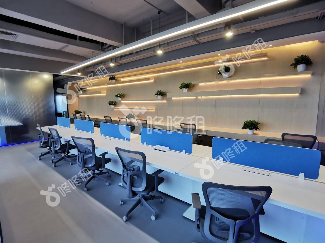 智汇港湾(长富金茂大厦CFC)_联合办公_公共区域