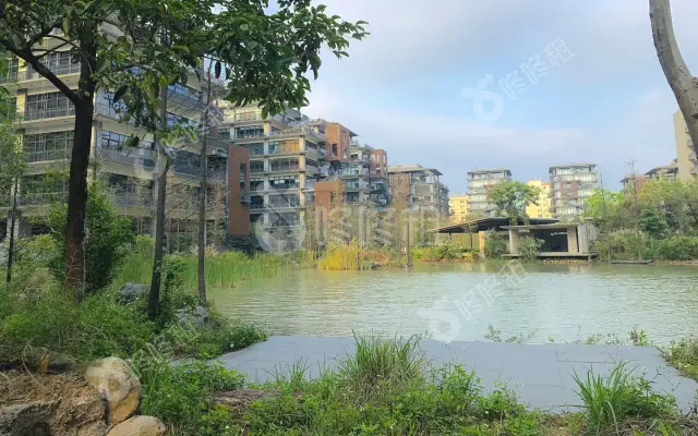 泰华梧桐聚落花园(梧桐村)_出租/租金_楼盘外观图