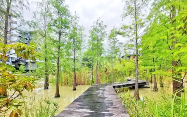 泰华梧桐聚落花园(梧桐村)_出租/租金_楼盘外观图