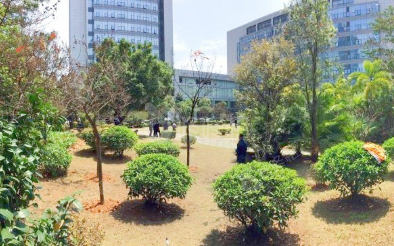 国人通信大厦_楼盘外观图