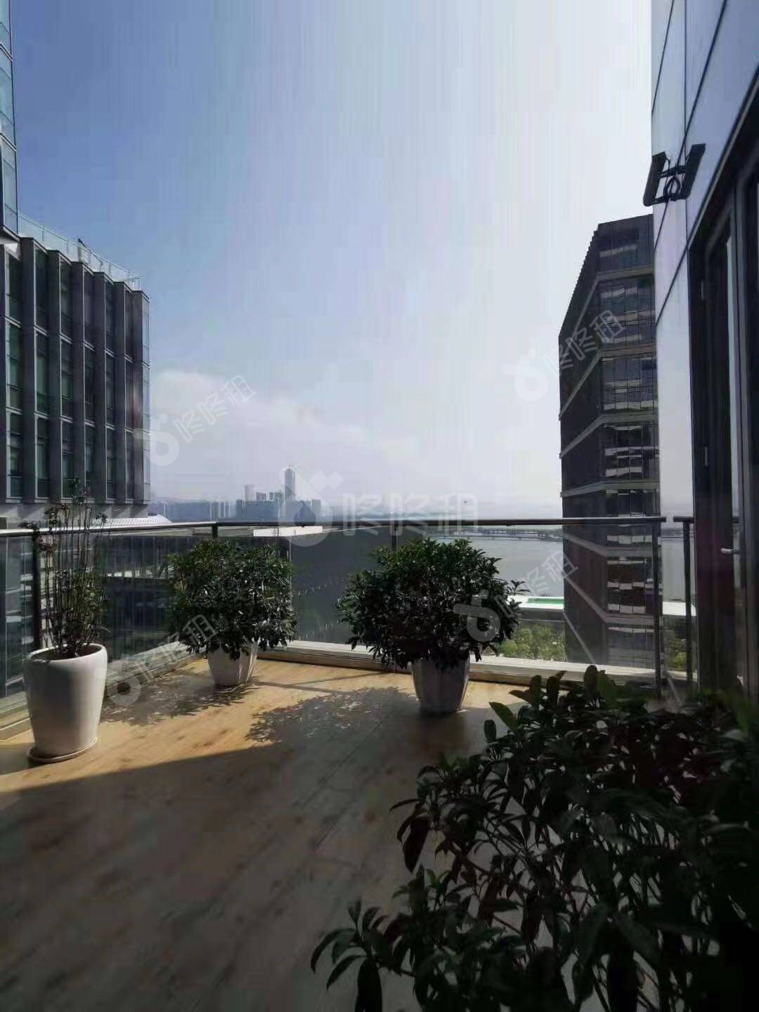 深圳湾一号_800平_精装_阳台