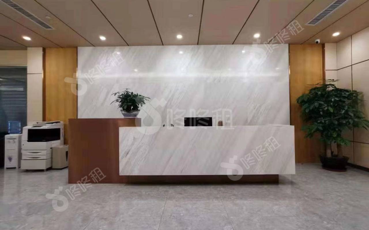 深圳湾一号_800平_精装_前台