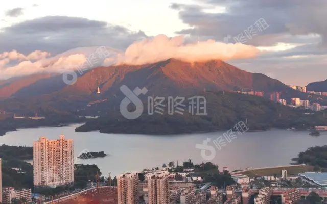 粤海城_出租/租金_楼盘外观图