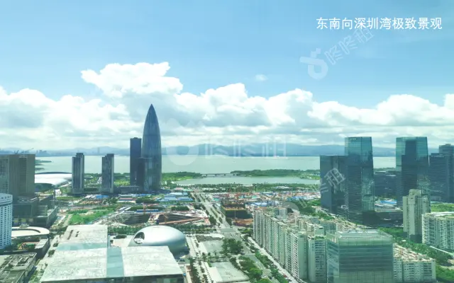 中洲控股中心_出租/租金_楼盘外观图