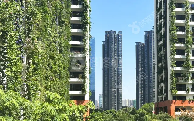 泰华梧桐聚落花园(梧桐村)_出租/租金_楼盘外观图