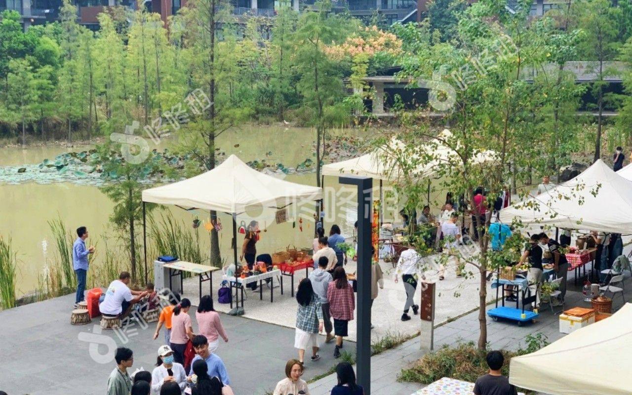 梧桐岛_楼盘外观图