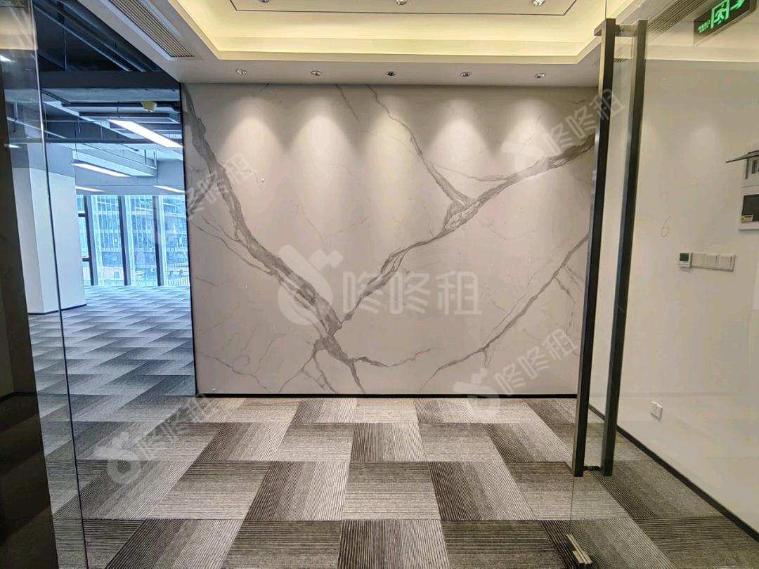 前海科兴科学园(正中华丽中心)_258平_豪装_办公室开间