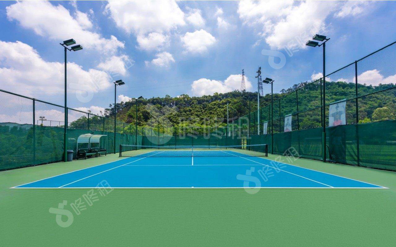 深圳·星河双子塔_楼盘外观图