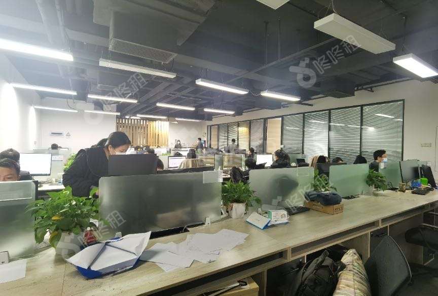 金骐智谷大厦_786平_精装_办公室开间