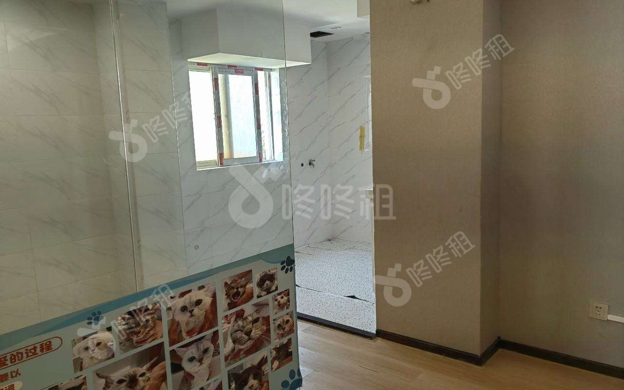南油第四工业区_275平_精装_办公室开间