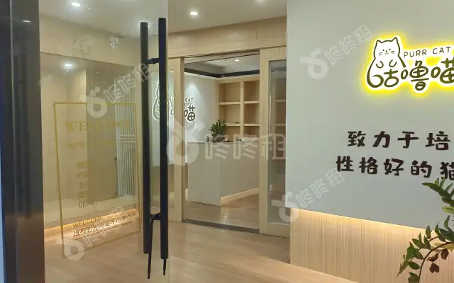 南油第四工业区_275平_精装_办公室房源出租