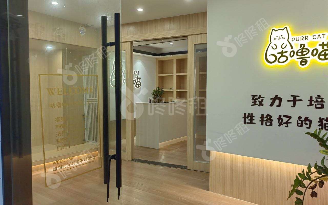 南油第四工业区_275平_精装_前台