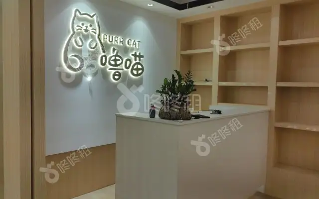 南油第四工业区_275平_精装_办公室房源出租