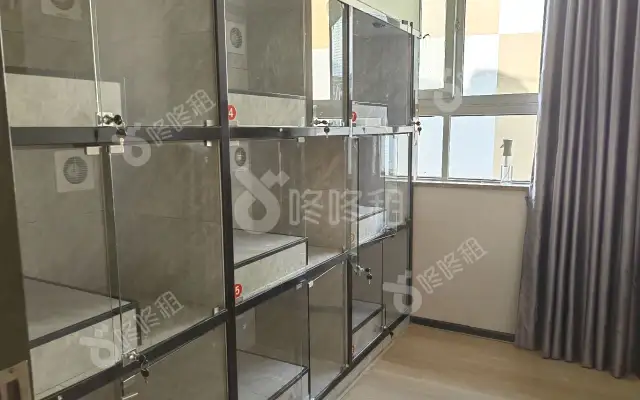 南油第四工业区_275平_精装_办公室房源出租