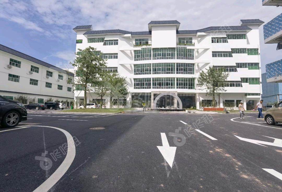 美生青谷科技产业园_9800平_毛坯_办公室开间