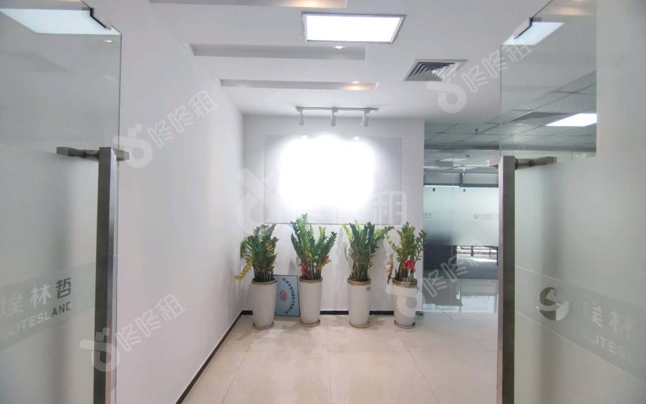 兰光科技大厦_368平_精装_前台