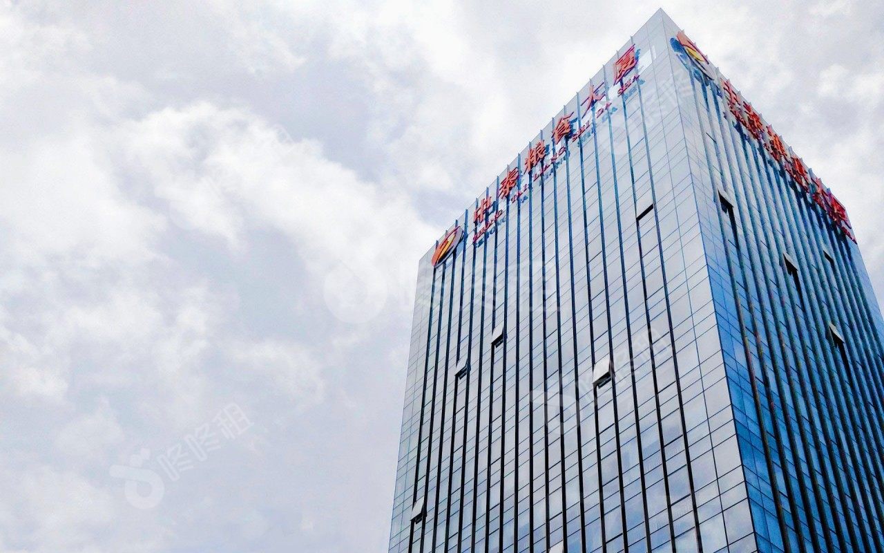 中泰粮食大厦_楼盘外观图