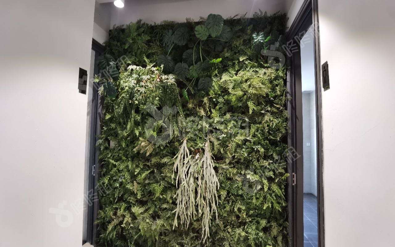 南山睿园产业园_1150平_精装_前台