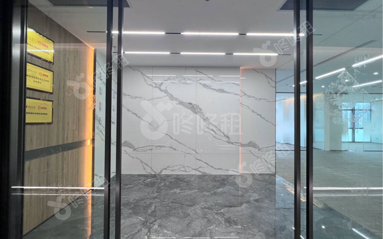 绿景美景广场_452平_豪装_前台