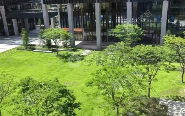 前海深港青年梦工场_6600平_定制装修_办公室房源出租