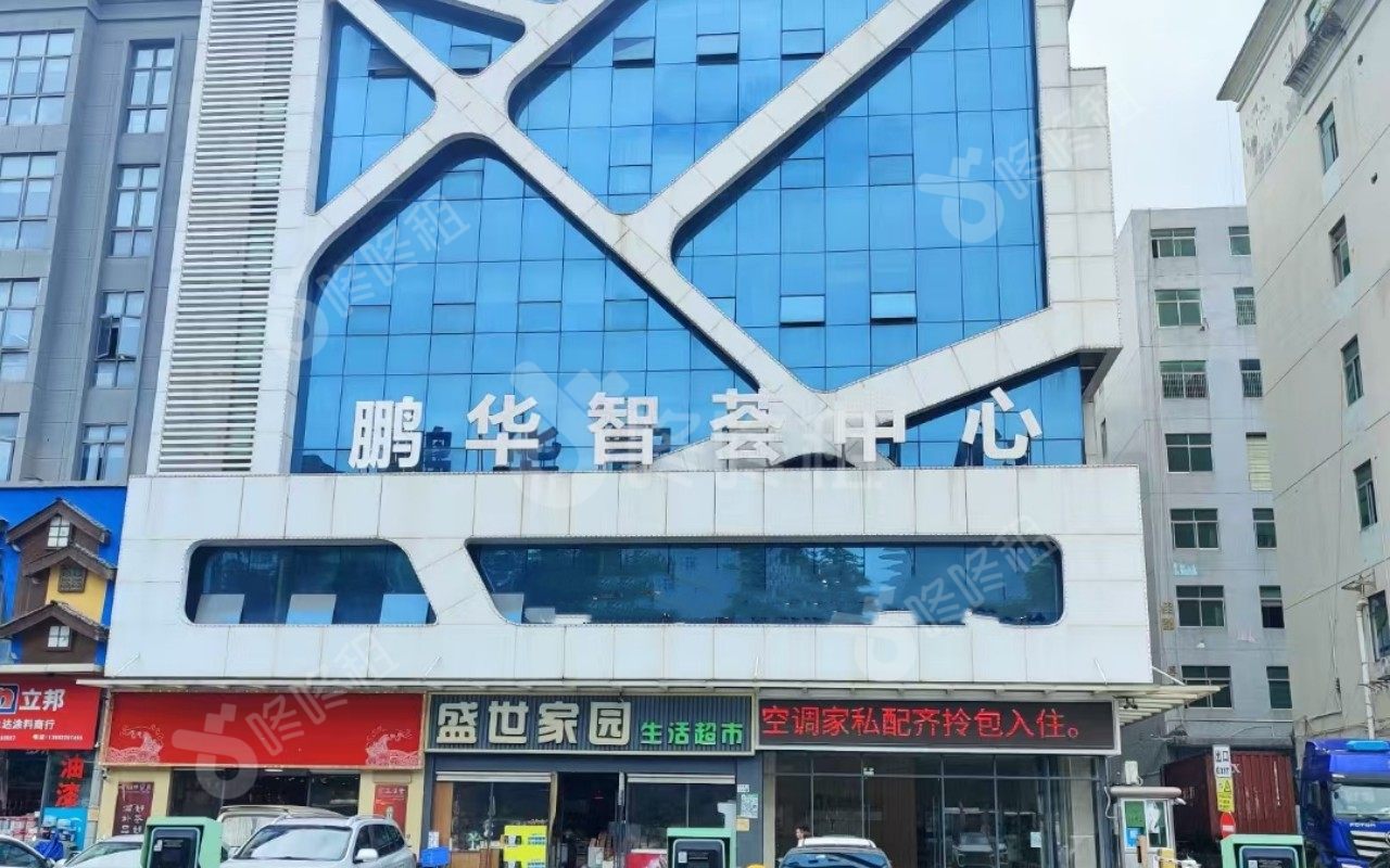 鹏华智荟中心_楼盘外观图