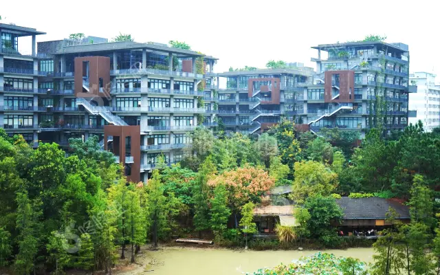 梧桐岛_出租/租金_楼盘外观图