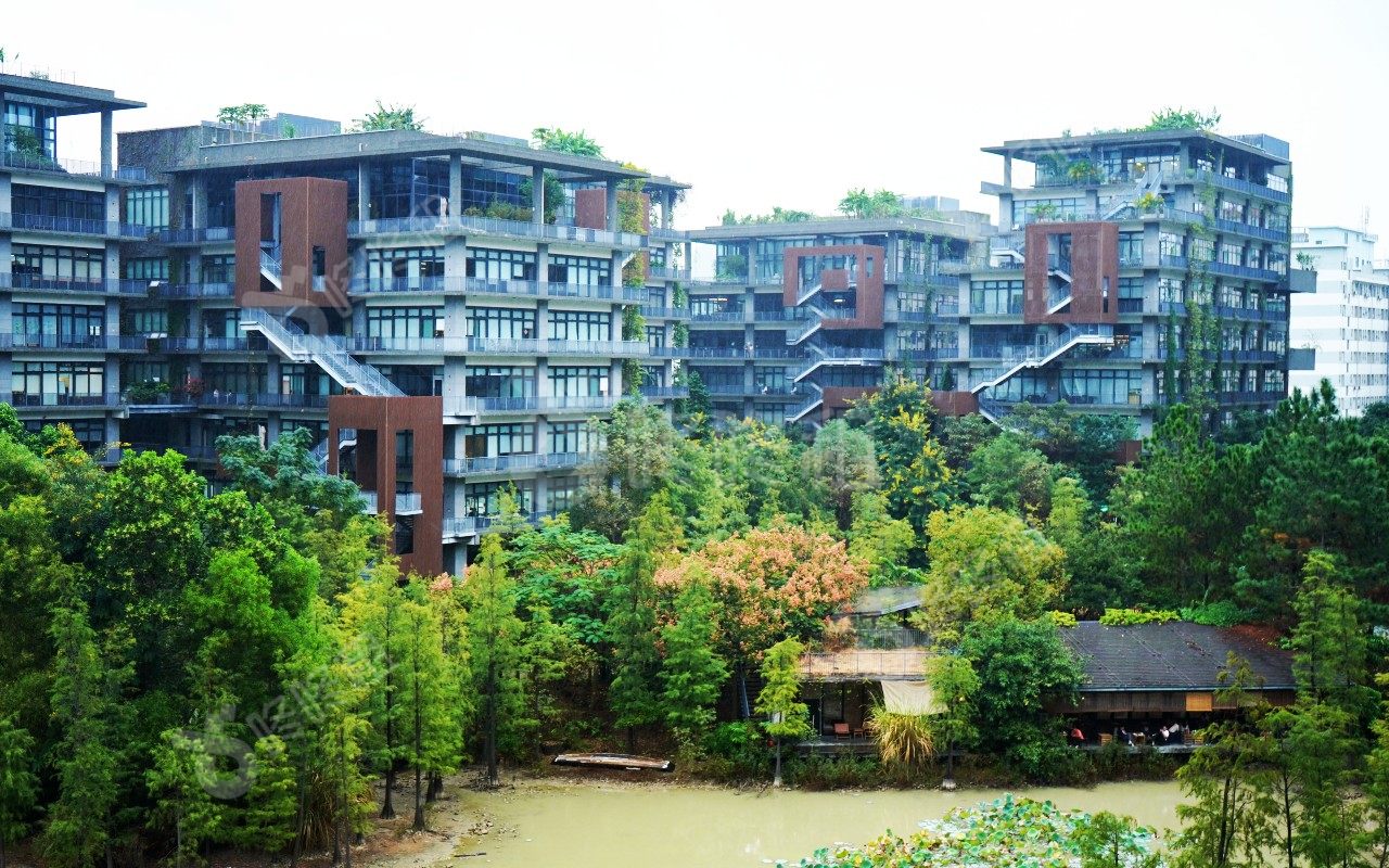 梧桐岛_楼盘外观图