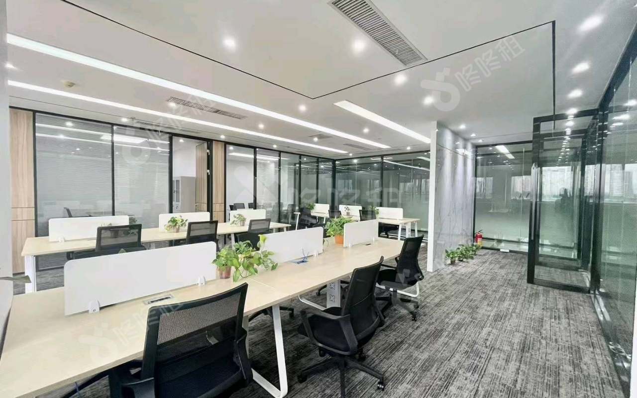 中电照明_270平_精装_办公室开间